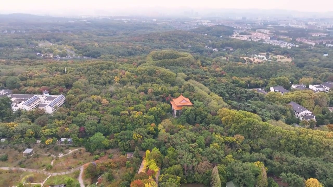 南京中山陵风景区秋色（神道），江苏南京视频素材