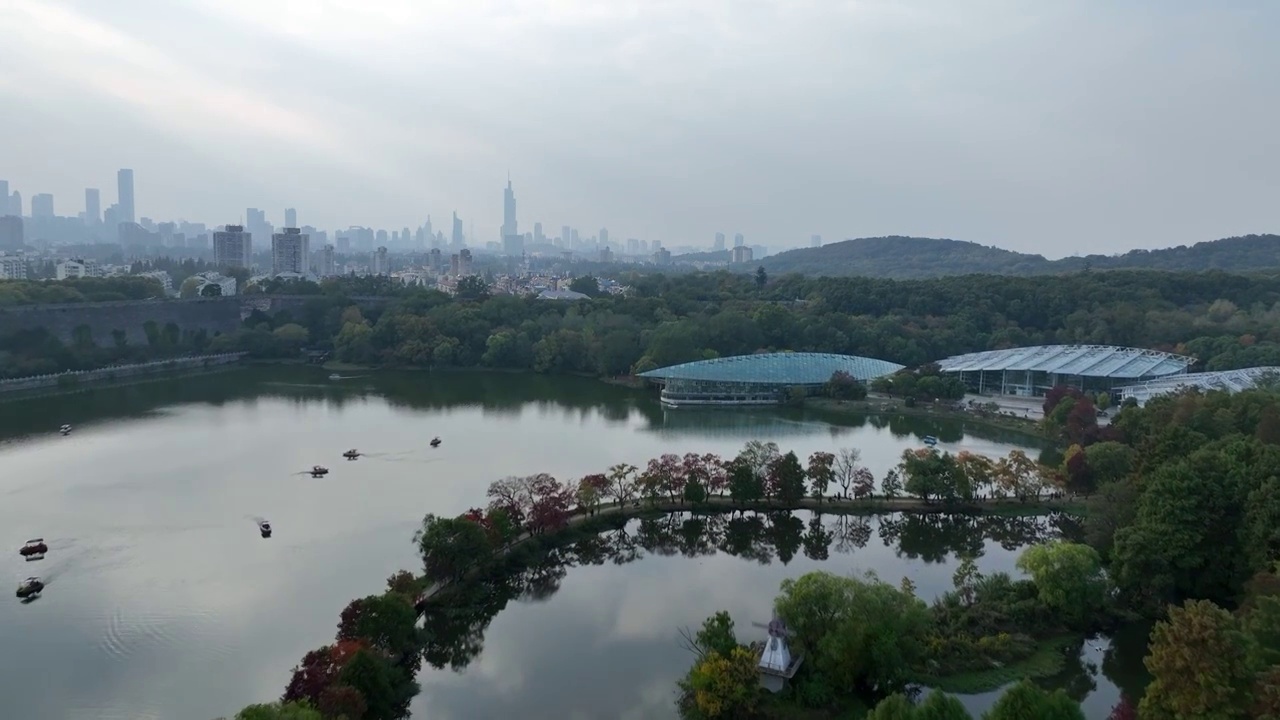 南京中山植物园秋景视频素材