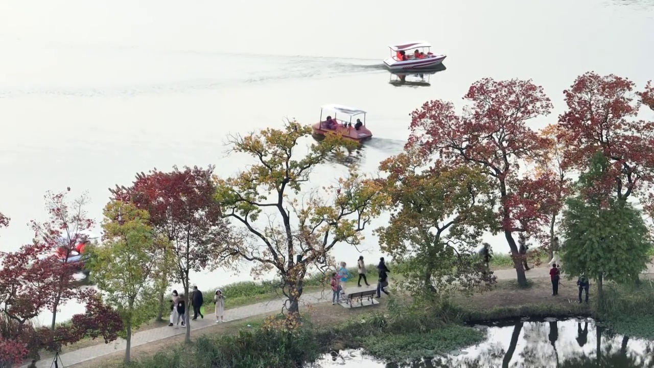 南京中山植物园秋景视频素材