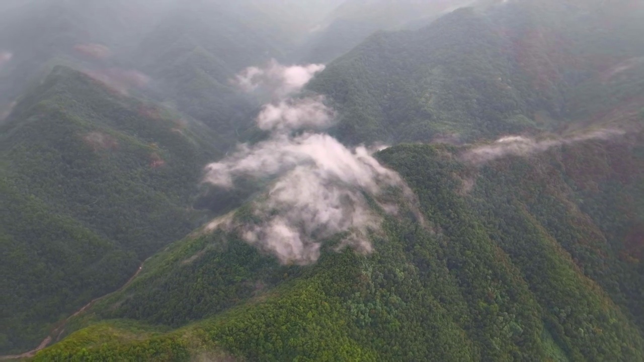 雨后山间云雾视频素材