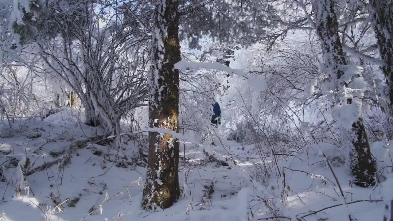 背包客从峨眉山大雪覆盖的树林中走出来视频素材