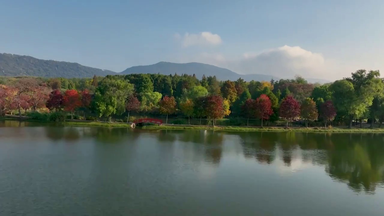 航拍南京中山陵前湖公园秋季景色视频素材