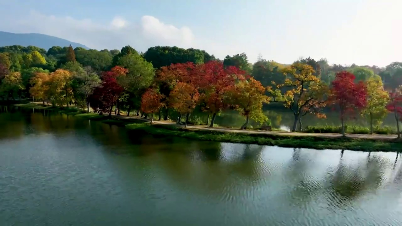 航拍南京中山陵前湖公园秋季景色视频素材