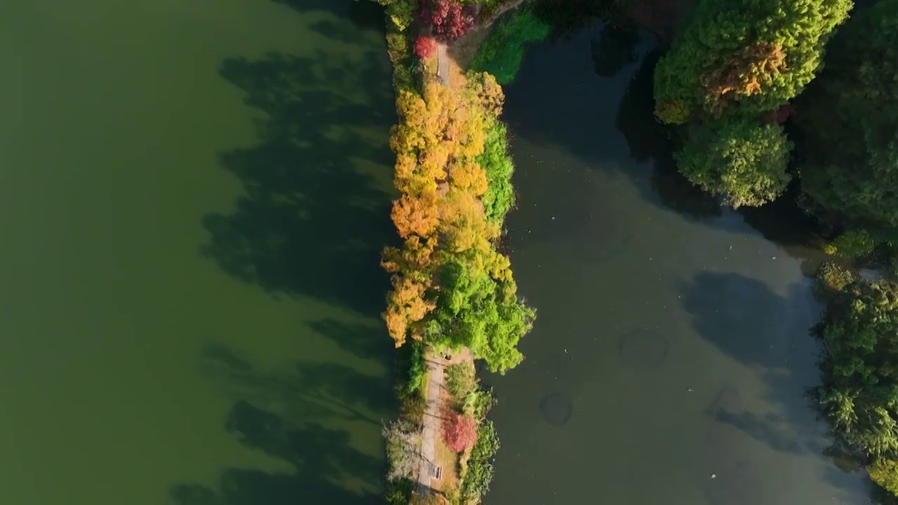 航拍南京中山陵前湖公园秋季景色视频素材