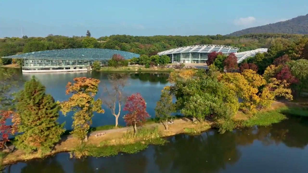 航拍南京中山陵前湖公园秋季景色视频素材