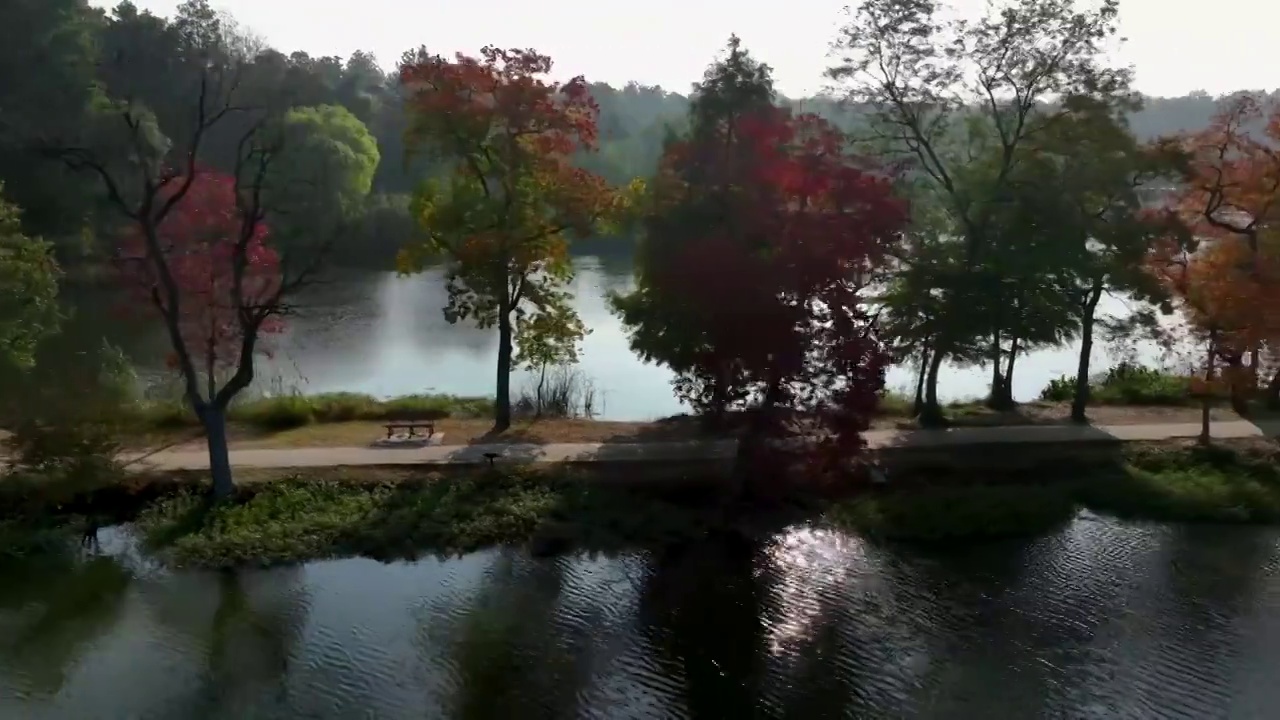 航拍南京中山陵前湖公园秋季景色视频素材