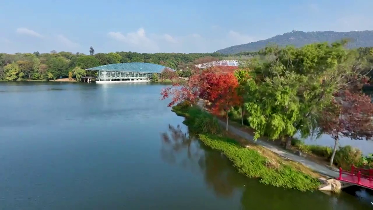 航拍南京中山陵前湖公园秋季景色视频素材