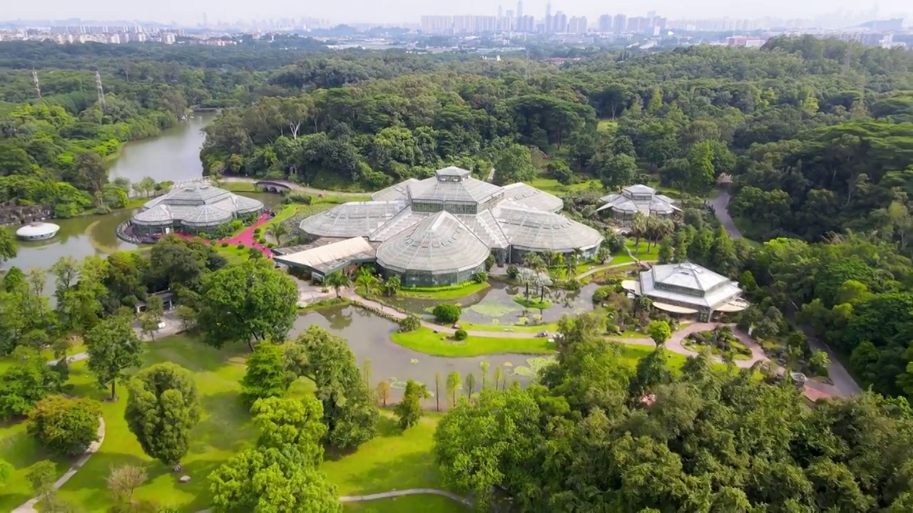 广州华南国家植物园温室群景区航拍视频素材