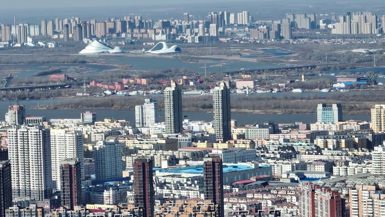 哈尔滨城市风光密集城市建筑中国城市视频素材