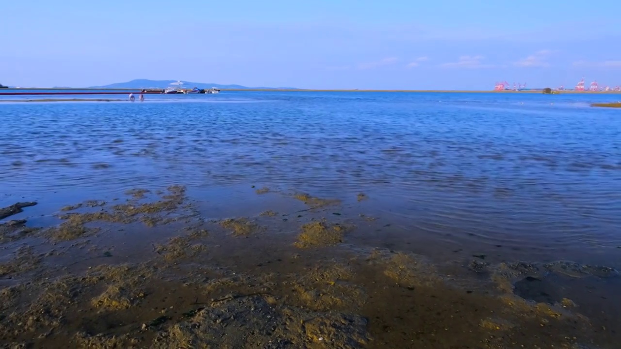 山东威海市海上公园海浪海景自然风光视频素材