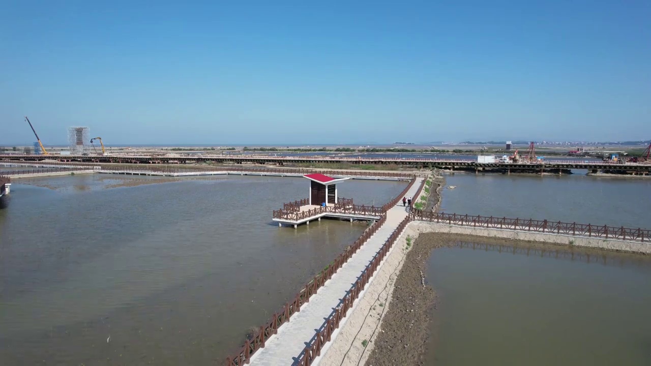 莆田土海湿地公园视频素材