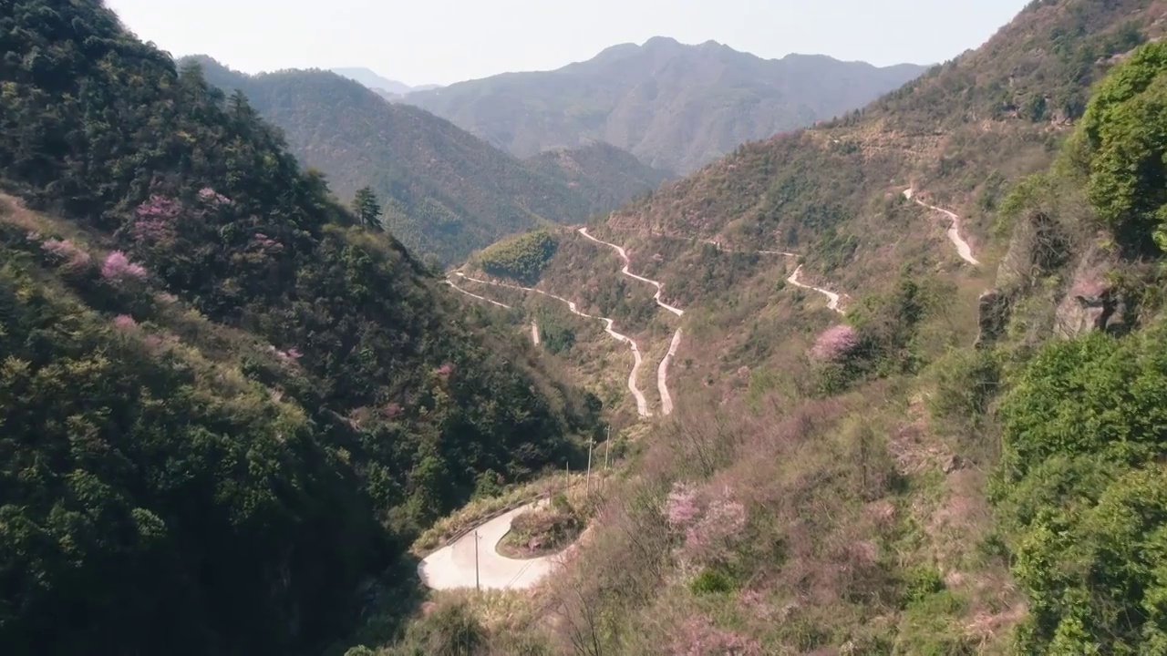 杭州建德三都山野樱花航拍视频素材