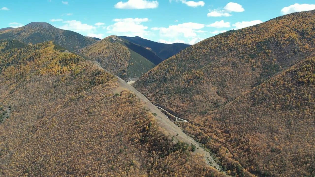 4K航拍川西秋季高山森林视频素材