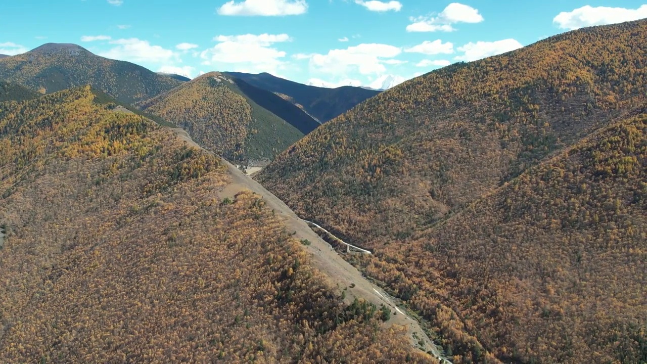 4K航拍川西秋季高山森林视频素材