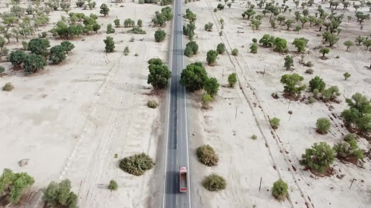 胡杨林沙漠公路（合集）视频素材