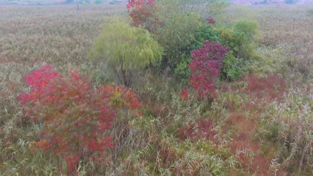 杭州南湖的秋天视频素材画面2