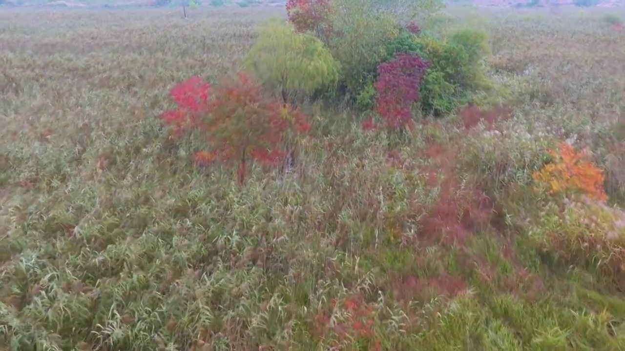 杭州南湖的秋天视频素材画面3