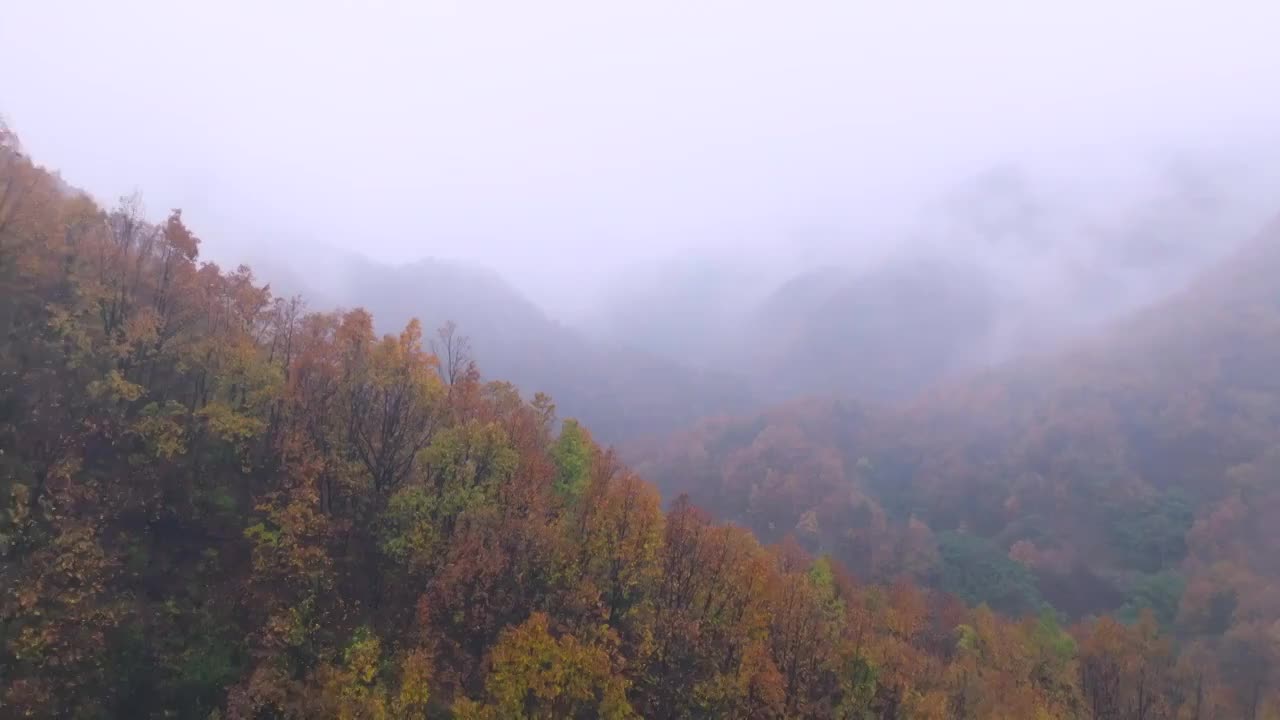 秋季雨后山谷皑皑浓雾河流湖泊视频素材