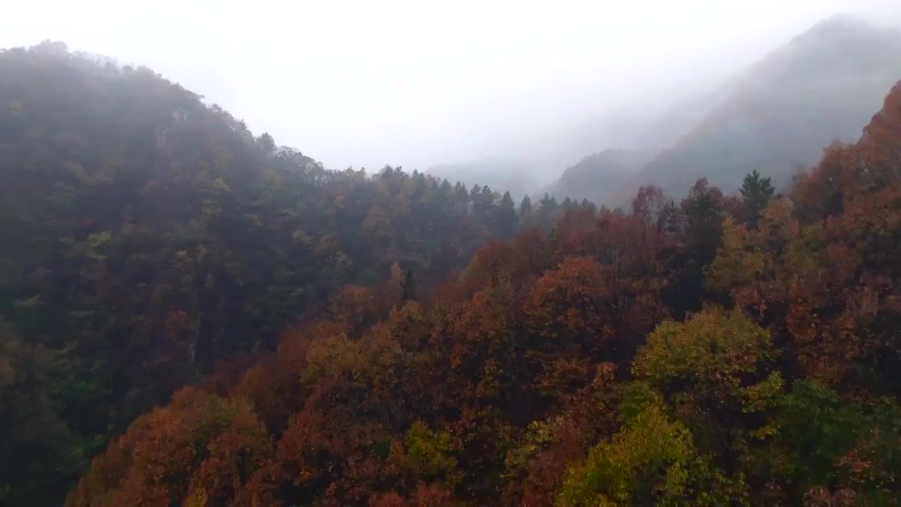 秋季雨后山谷皑皑浓雾河流湖泊视频素材