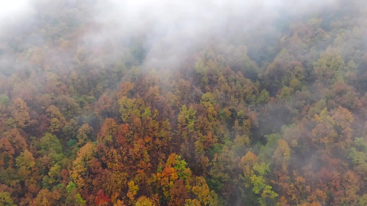 秋季雨后山谷皑皑浓雾河流湖泊视频素材