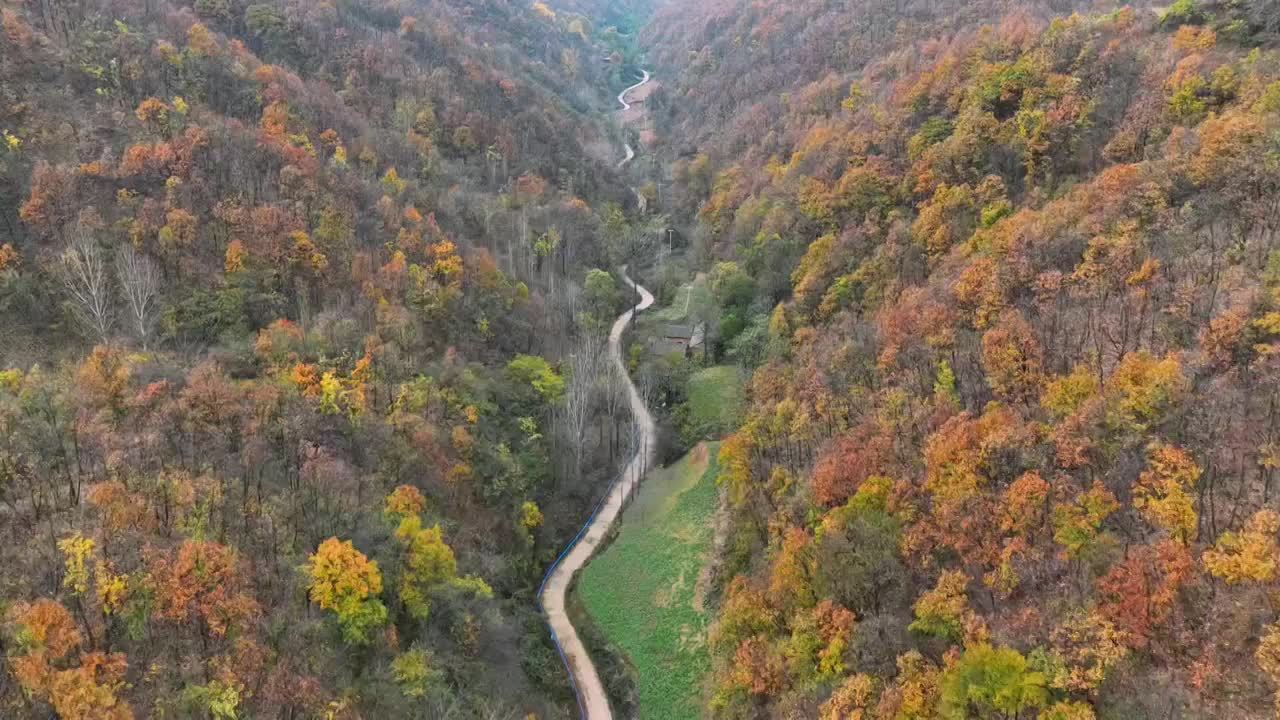 秋季山谷间的小路和房屋视频素材