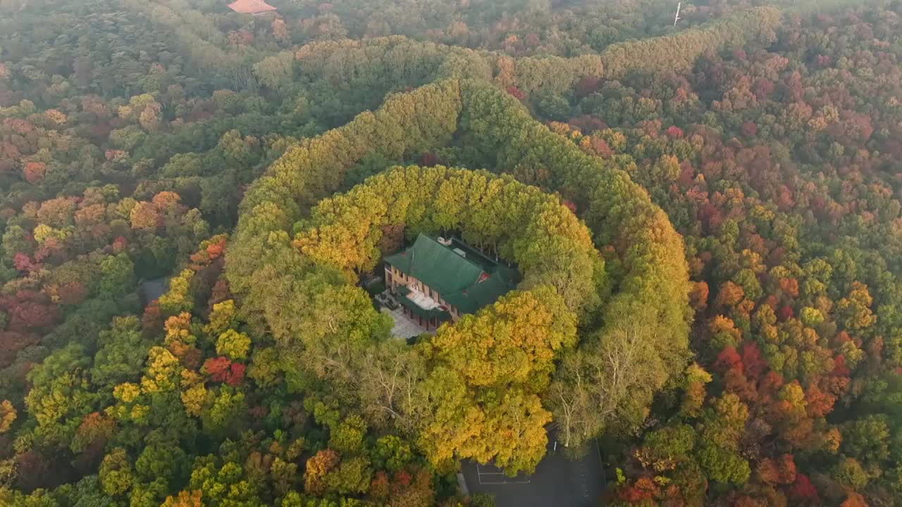 航拍日出晨雾中的南京地标美龄宫视频素材