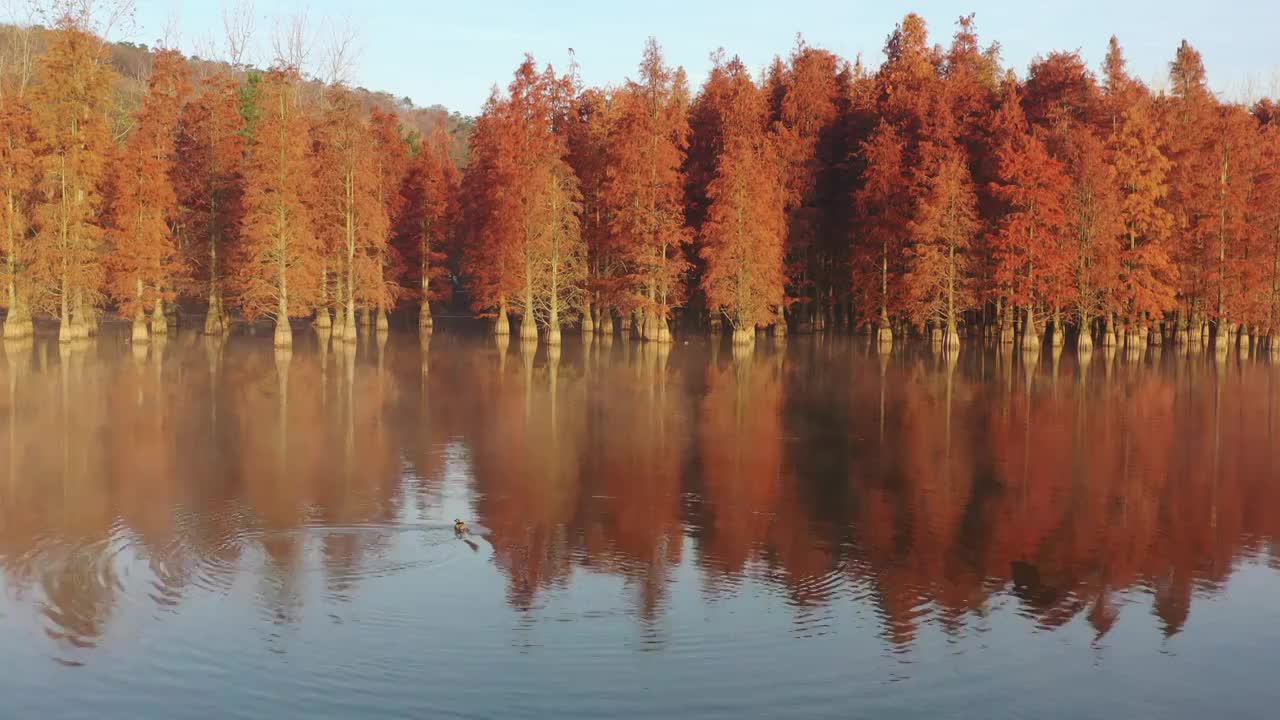 秋日止马岭视频素材