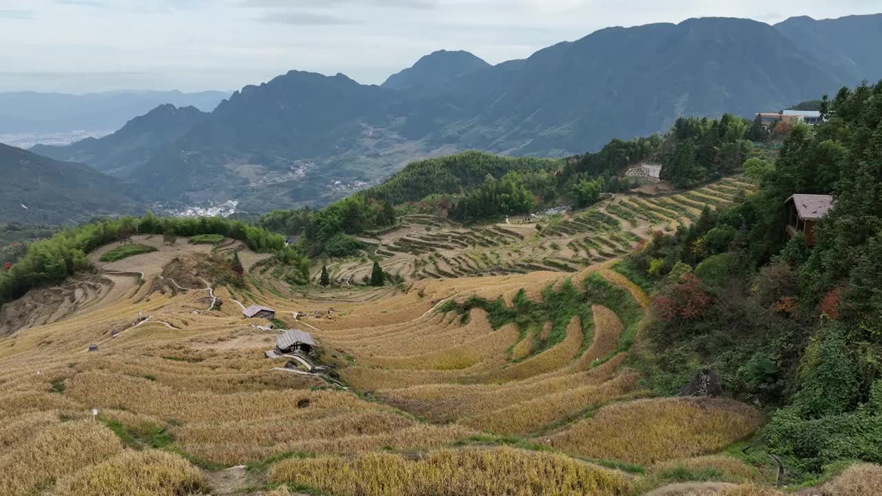 浙江丽水：云和梯田视频素材