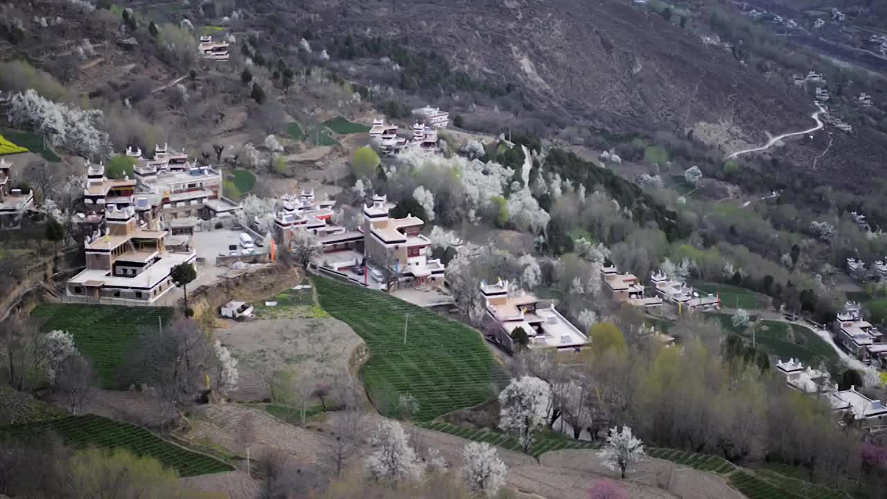 丹巴大片梨花中的民居大景视频素材