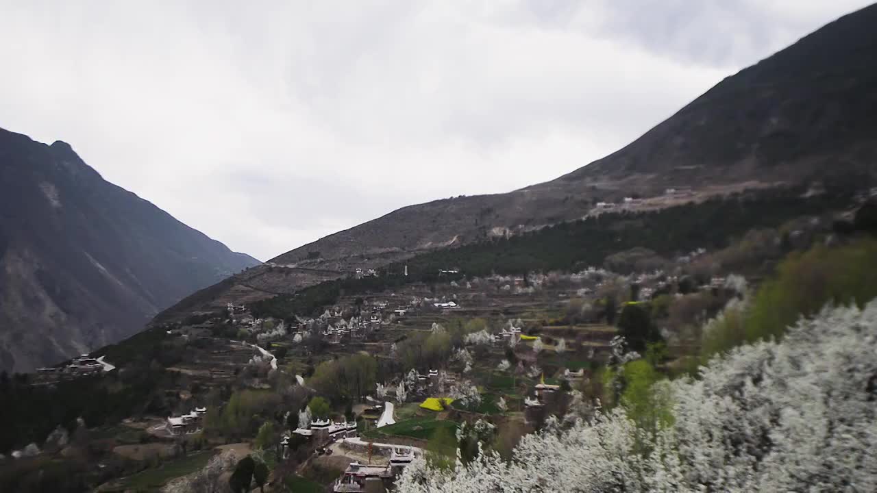 丹巴大片梨花中的民居大景视频素材