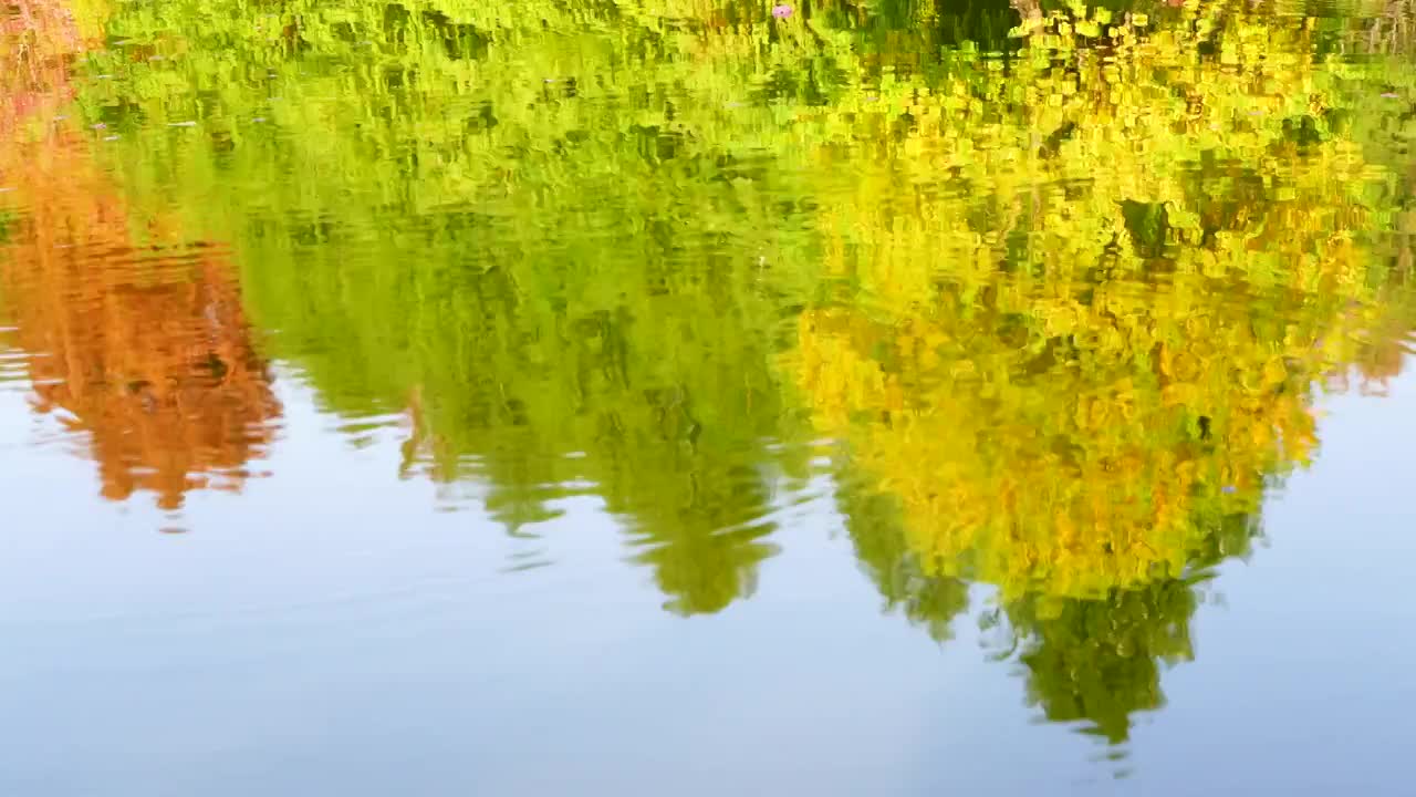 秋天湖水反射色彩鲜艳和多色的树叶的色彩，秋天的色彩视频素材