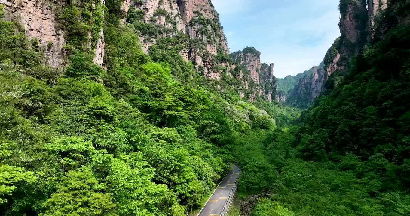 汽车在长满绿色森林的乡村高速公路上行驶视频素材