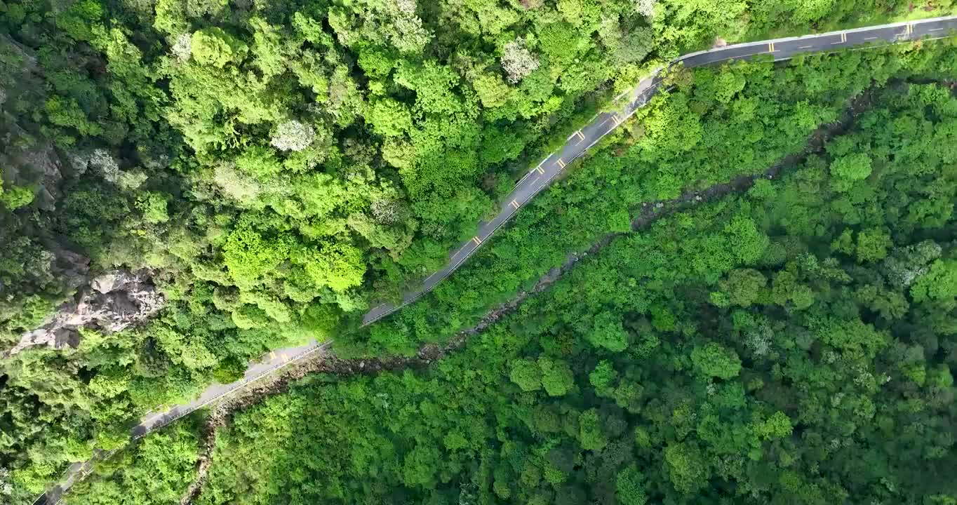 汽车在长满绿色森林的乡村高速公路上行驶视频素材