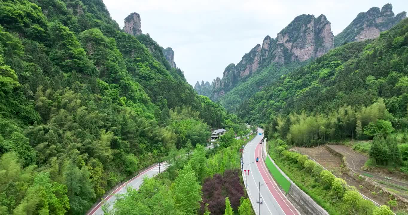 汽车在长满绿色森林的乡村高速公路上行驶视频素材