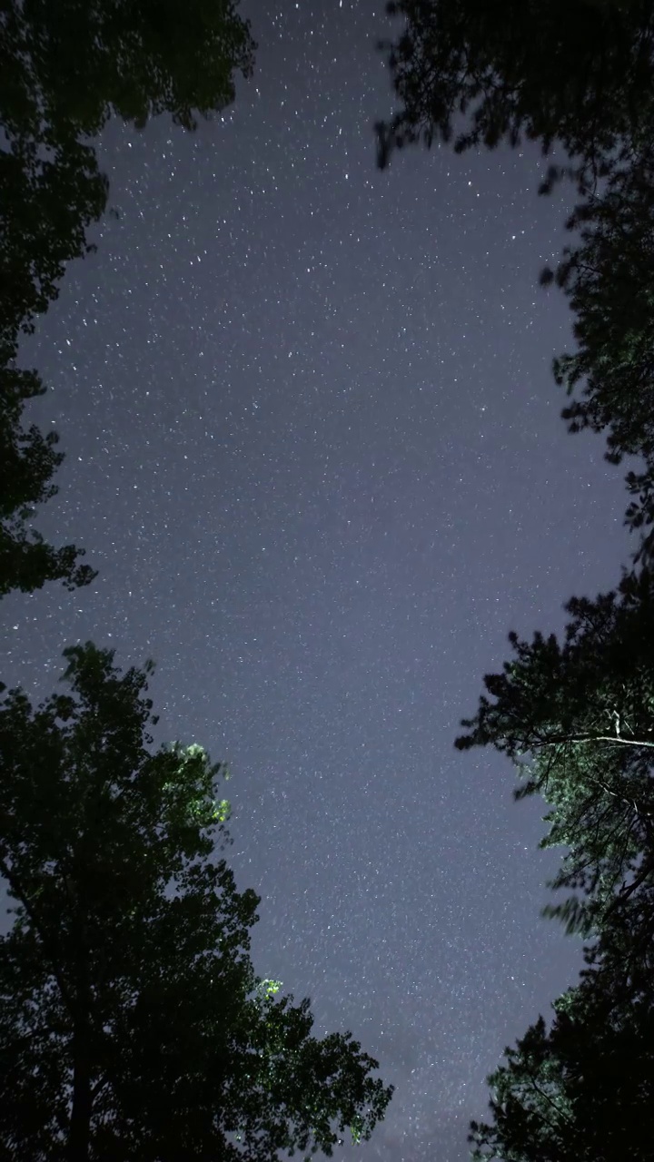 星空延时：树林仰望流动星光视频素材