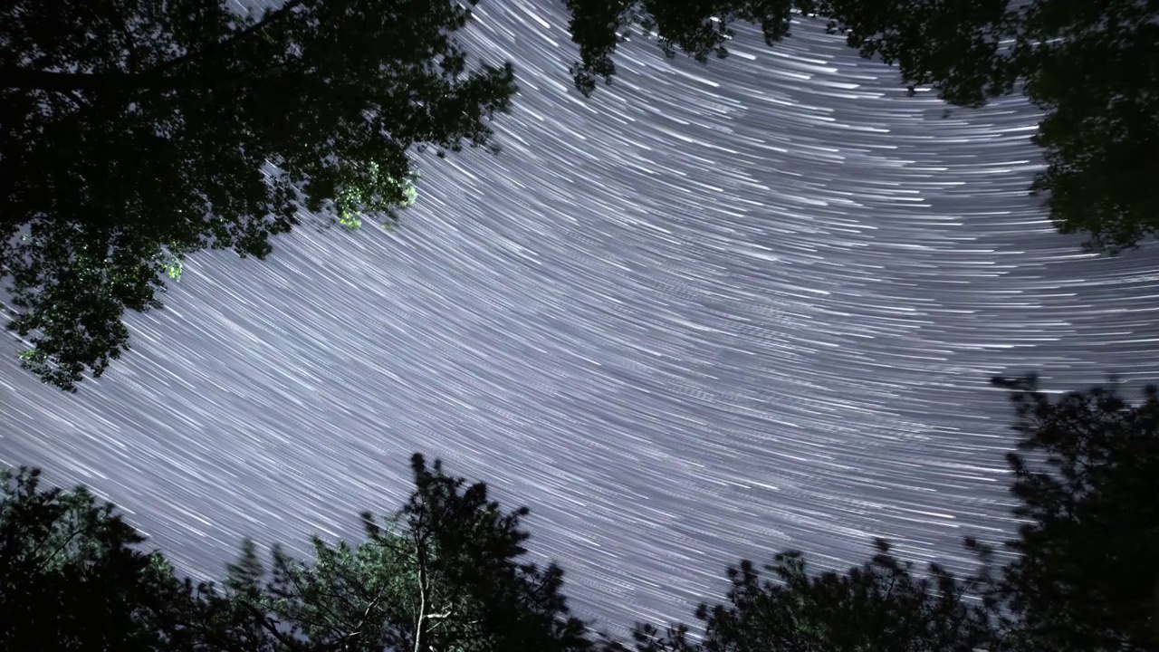 星空延时：树丛仰望星光轨迹视频素材