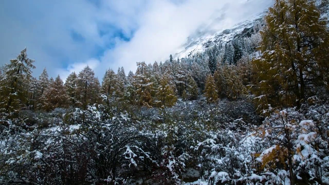 四姑娘山雪景彩林延时摄影视频下载