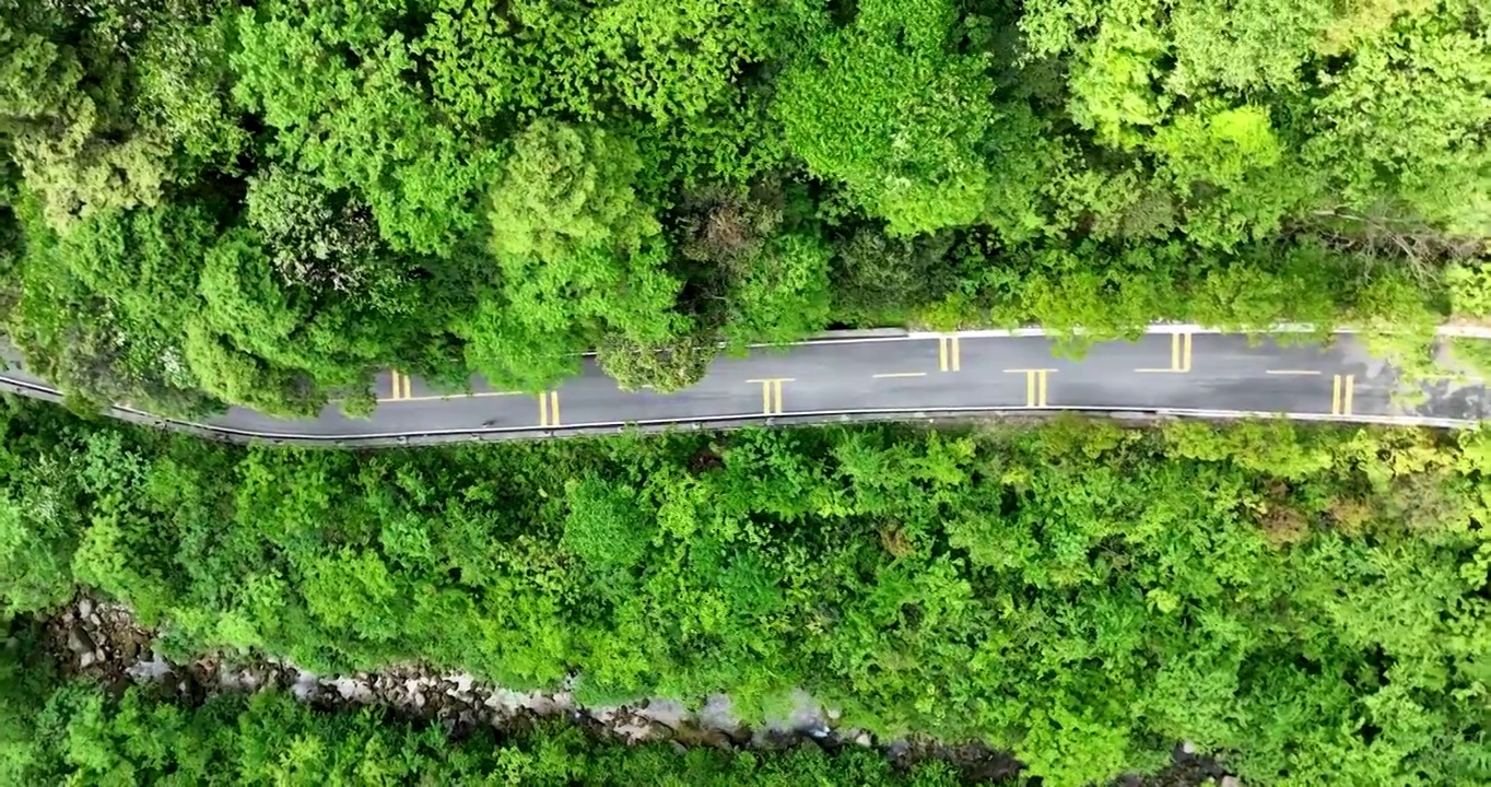 汽车在长满绿色森林的乡村高速公路上行驶视频素材