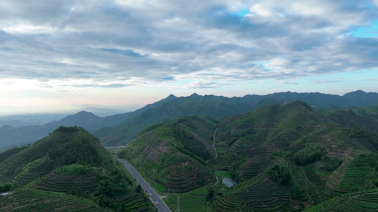 茶田延时高山茶田种植茶叶茶山视频素材