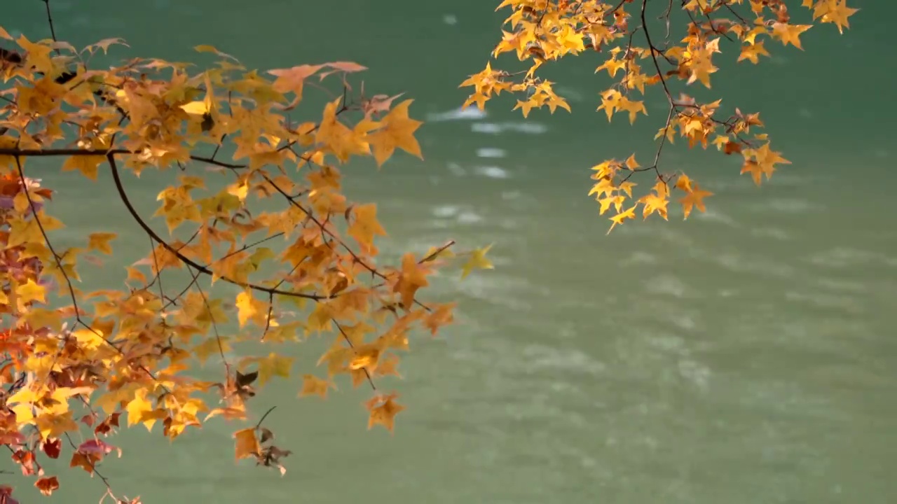 北京颐和园秋天风光视频素材