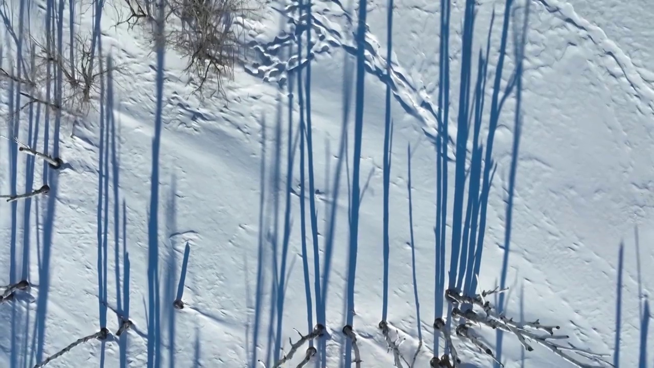 冬季冰封的河流雾凇雪景航拍视频素材