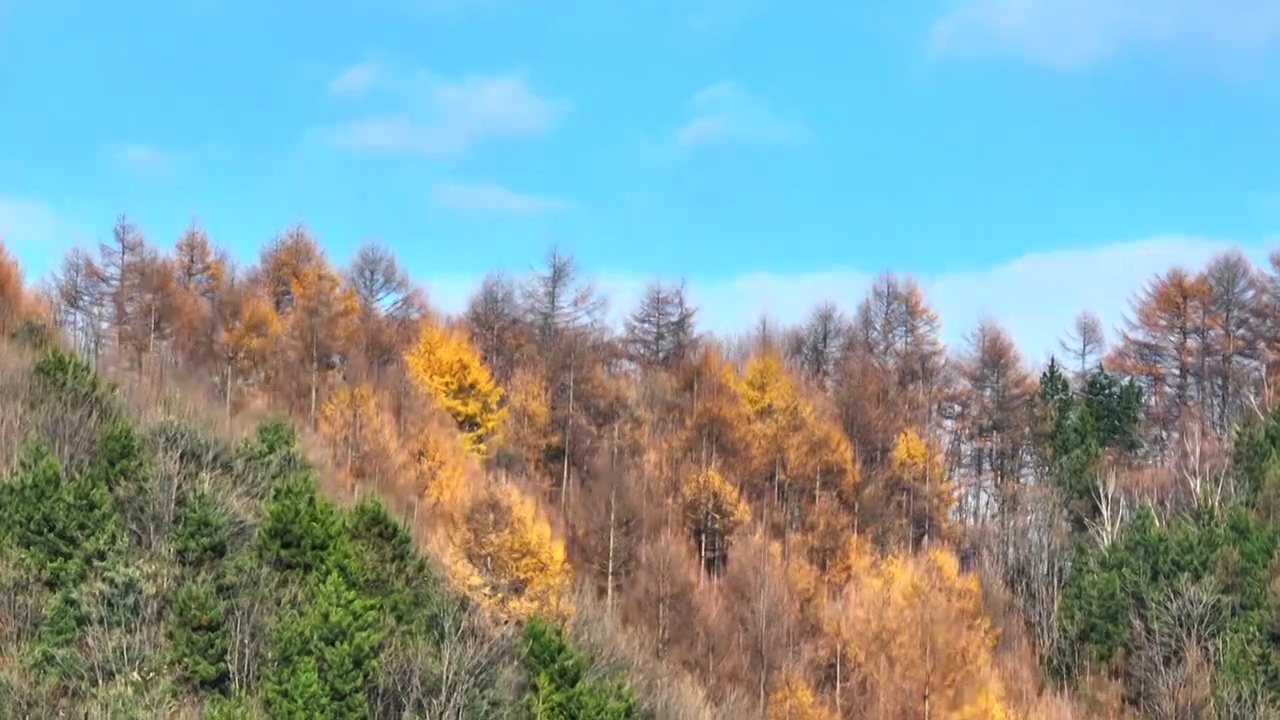 龙峪湾高山森林后边是蓝天白云留白视频素材