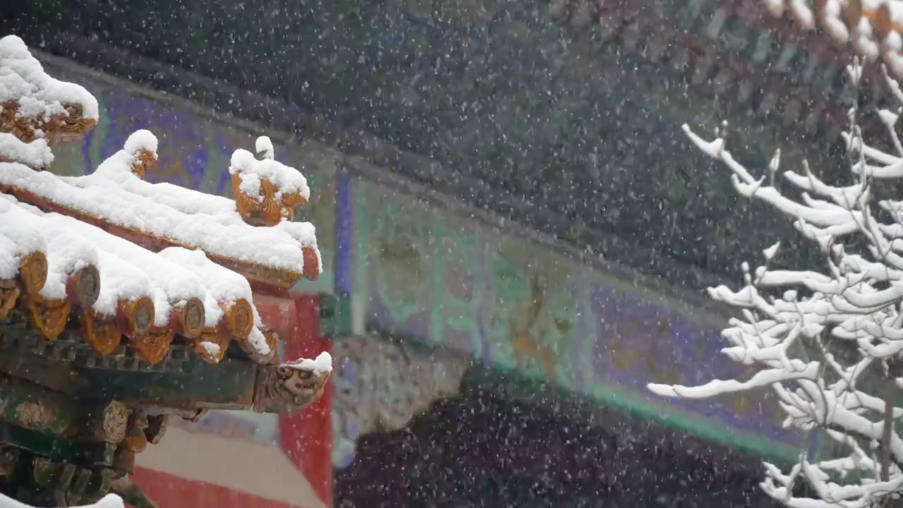 大雪中的故宫视频素材