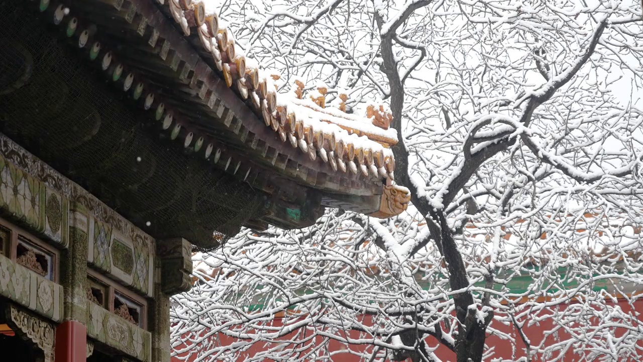 大雪中的故宫视频素材