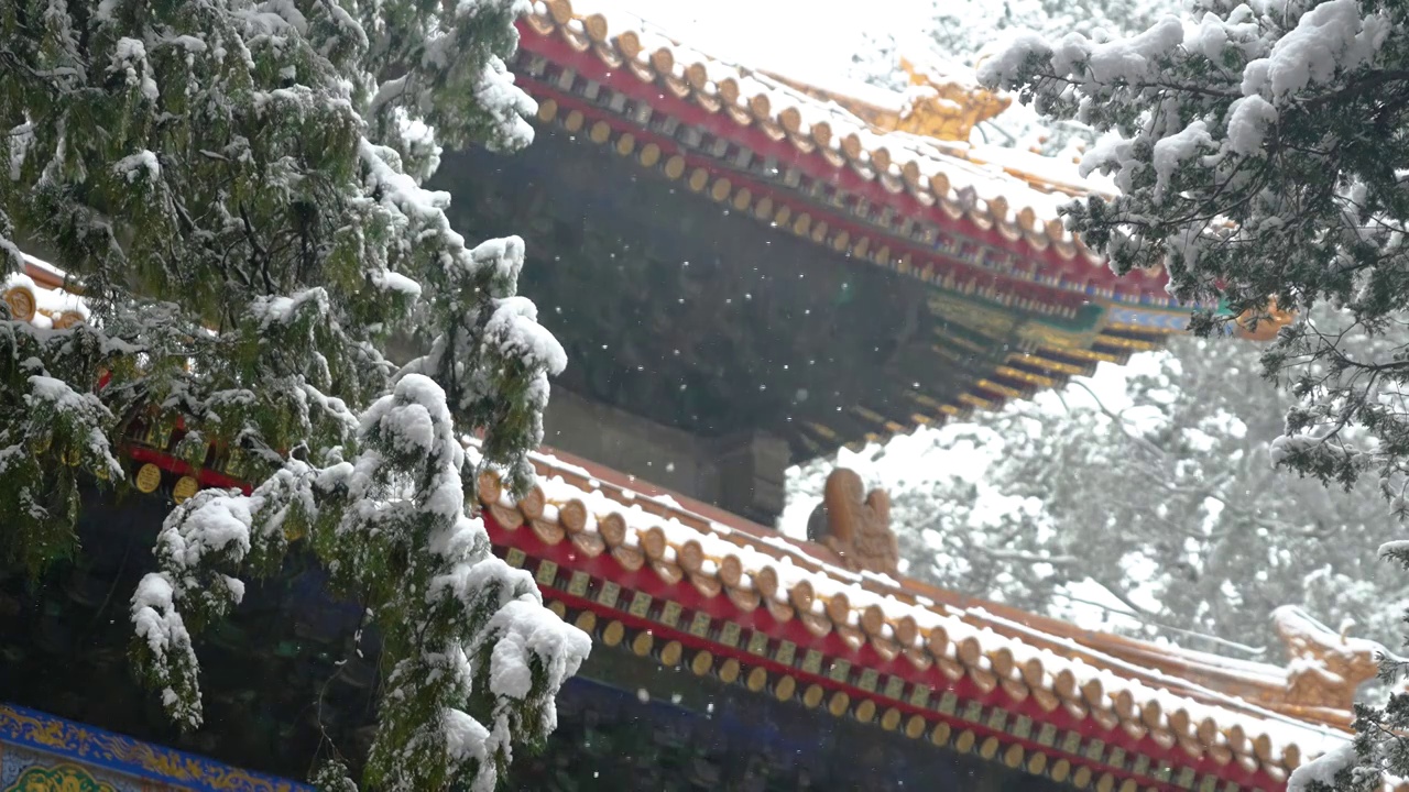 大雪中的故宫视频素材