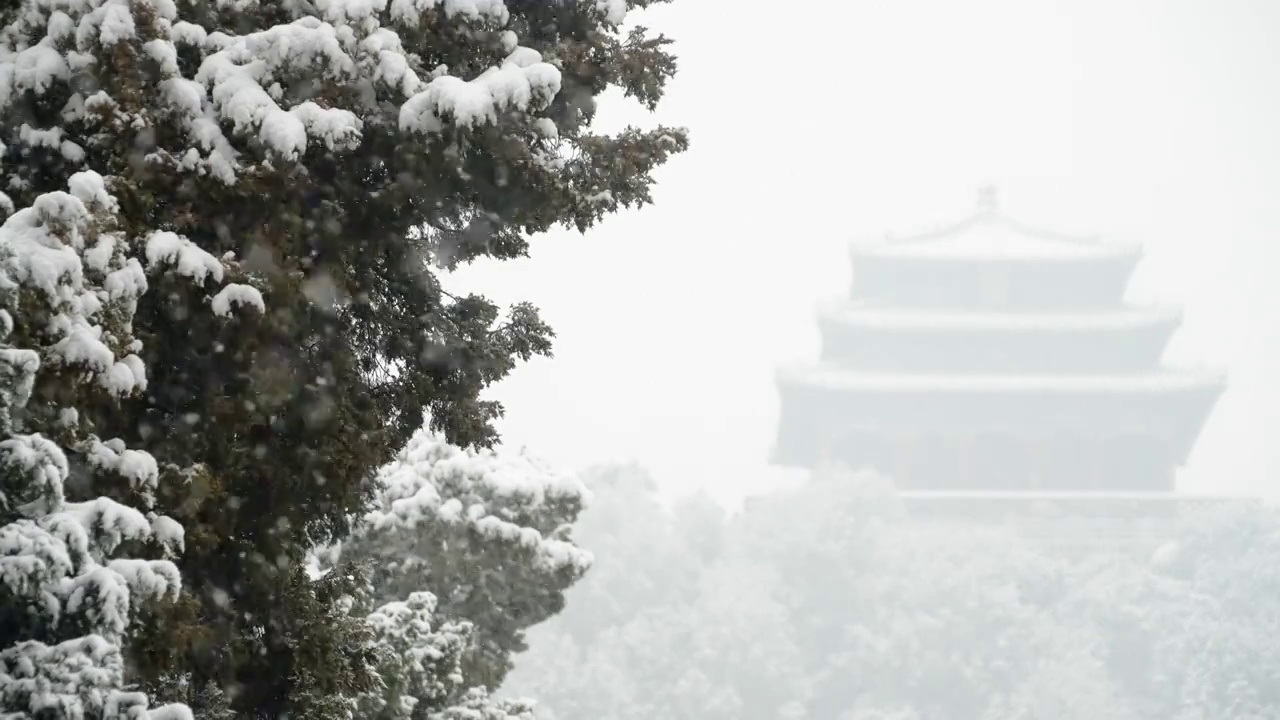 大雪中的故宫视频素材