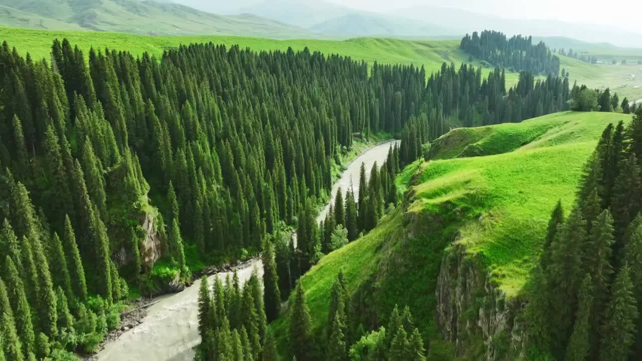 草原森林河流风景航拍视频素材