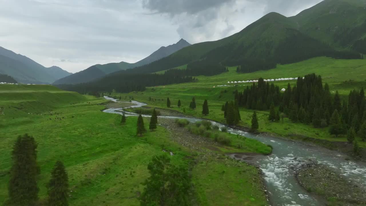 草原森林河流风景航拍视频素材