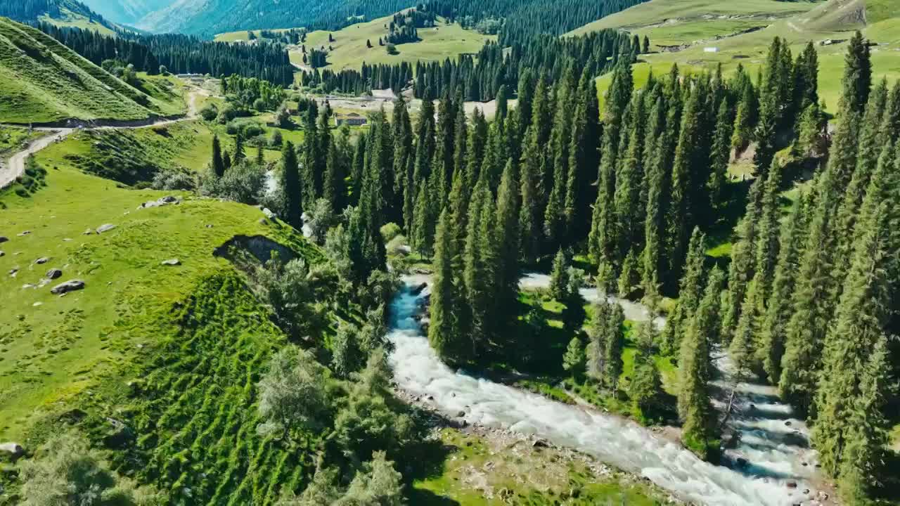 草原森林河流风景航拍视频素材