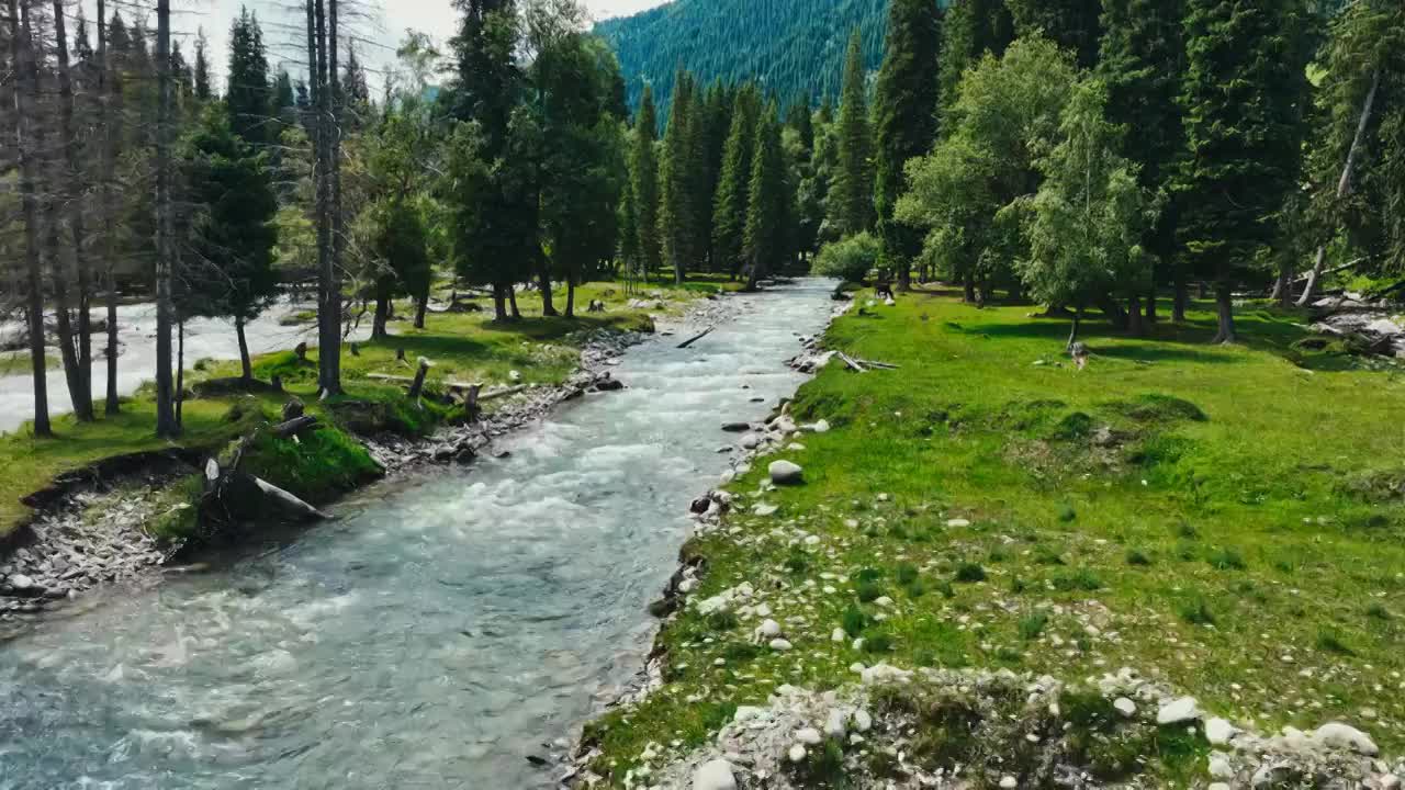 草原森林河流风景航拍视频素材